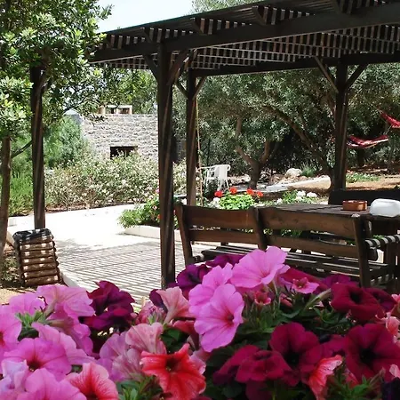 Aparthotel Katerina Charming Place Amoudara (Lasithi)